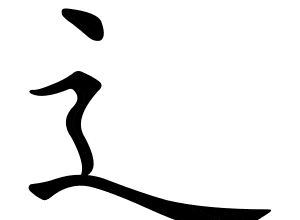 bộ sước