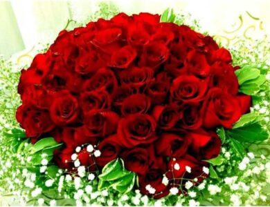tên các loài hoa tiếng Trung