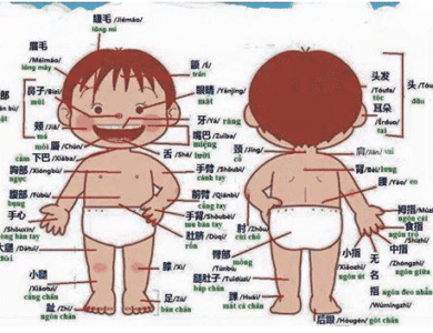 bộ phận trên cơ thể người bằng tiếng Trung