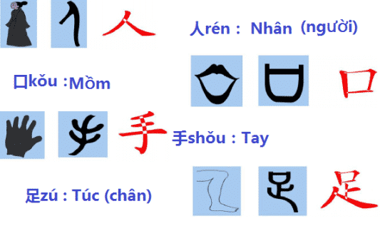 Chữ Tượng hình trong chữ Hán