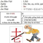 chiet tu chu han