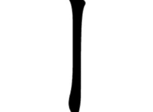 Bo con丨