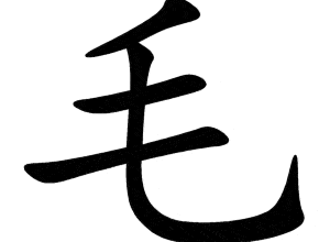 Bộ mao 毛 máo