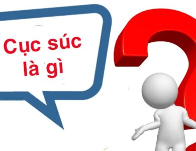 cuc suc la gi