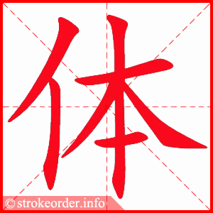 体