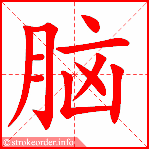 脑