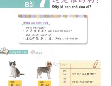 bai 7 yct 1 Bài 7: Giáo trình chuẩn YCT 1 | 这是谁的狗?