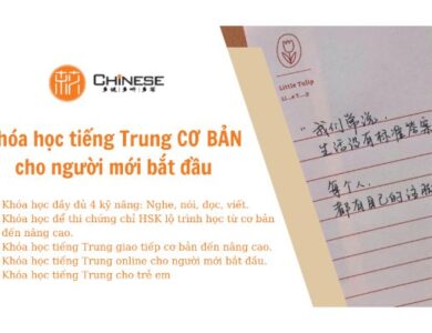 z3746707771037 d7dc7d58c678501672706ba6ae70661f Khóa học tiếng Trung CƠ BẢN cho người mới bắt đầu