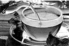 Bài 1: Lời giải và đáp án Sách bài tập Giáo trình Chuẩn HSK 2 6 Screenshot 2025 08 08 160559