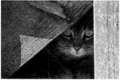 Bài 1: Lời giải và đáp án Sách bài tập Giáo trình Chuẩn HSK 2 9 Screenshot 2025 08 08 160716