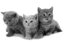 Bài 1: Lời giải và đáp án Sách bài tập Giáo trình Chuẩn HSK 2 14 Screenshot 2025 08 08 162556