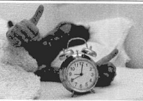 Bài 2: Lời giải và đáp án Sách bài tập Giáo trình Chuẩn HSK 2 5 Screenshot 2025 08 08 181958