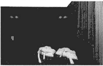 Bài 3: Lời giải và đáp án Sách bài tập Giáo trình Chuẩn HSK 2 3 Screenshot 2025 08 08 193433