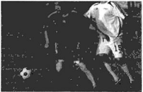 Bài 4: Lời giải và đáp án Sách bài tập Giáo trình Chuẩn HSK 2 2 Screenshot 2025 08 08 202211